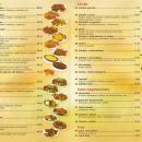 Ulotka Kebab King 2